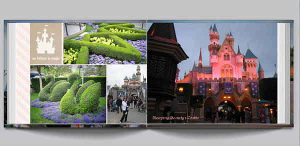 Disneyland 2008 - 3