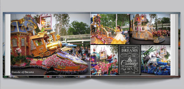 Disneyland 2008 - 6