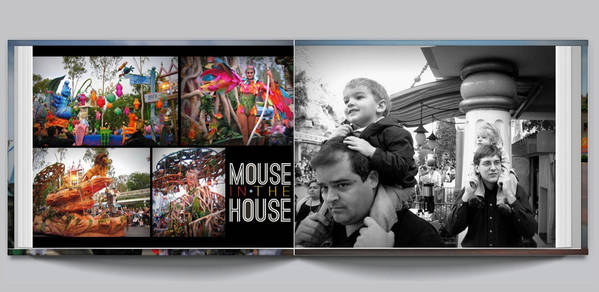 Disneyland 2008 - 7