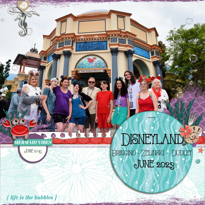 Disneyland 2023 Cover