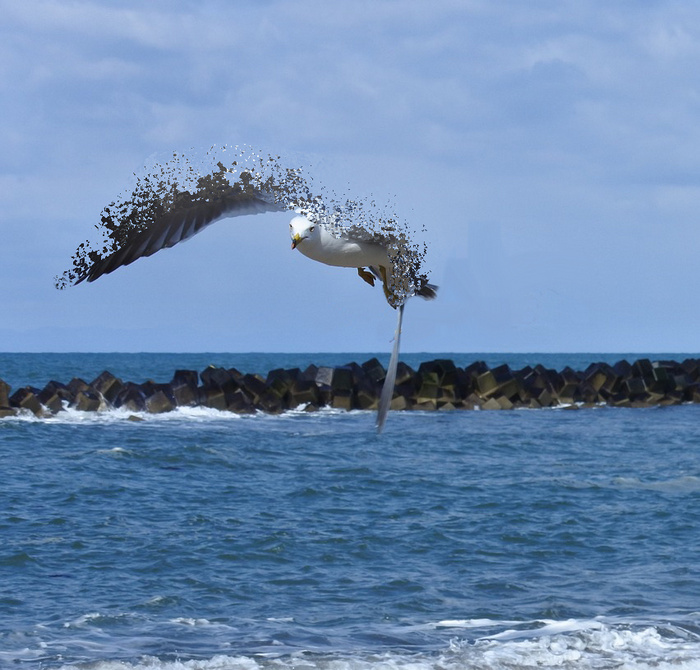 Dispersion Maybesm