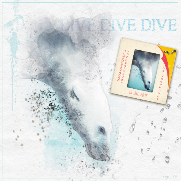 Dive Dive Dive