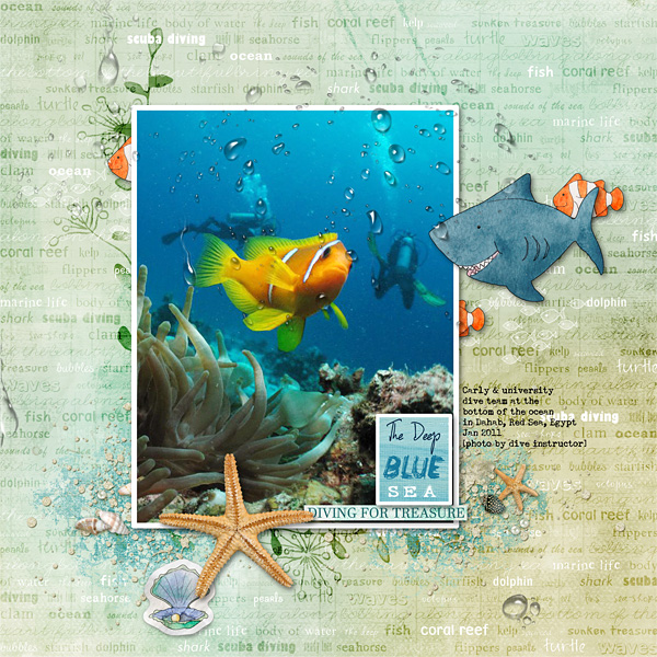 Diving for Treasure