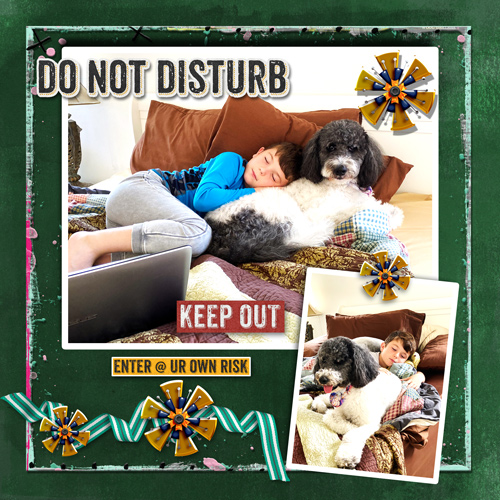 Do Not Disturb