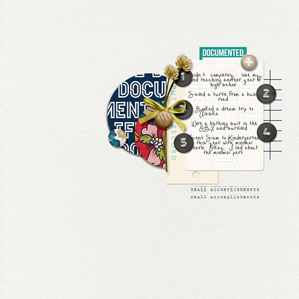 Document-small-accomplishments