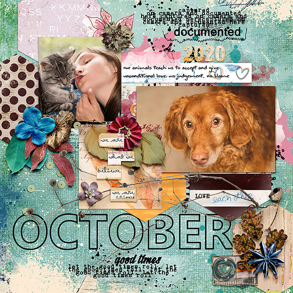 Documented Oct 2020