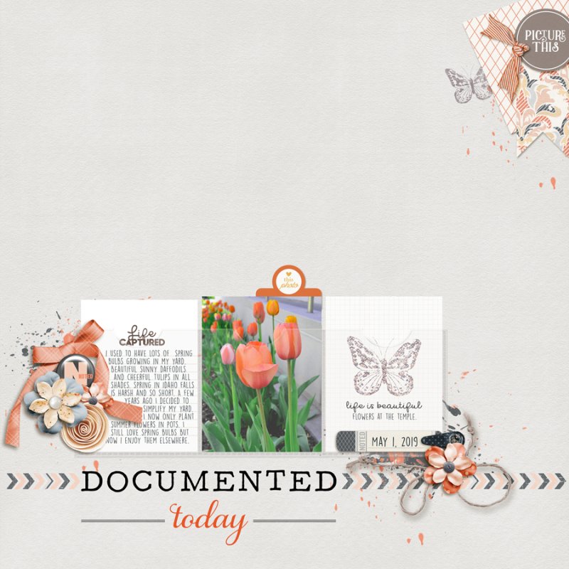 Documented-today