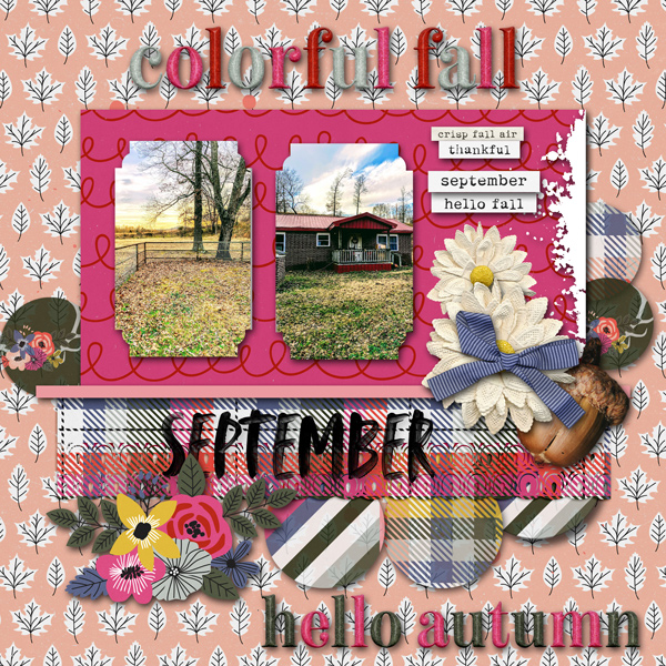 Documenting Autumn