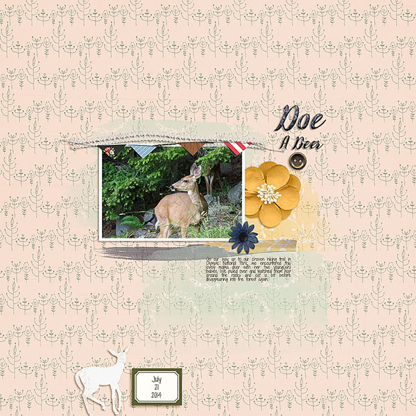 Doe A Deer