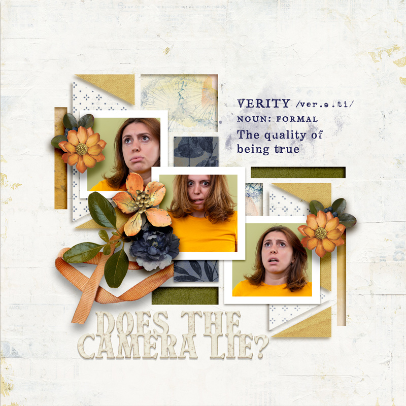 Does The Camera Lie
