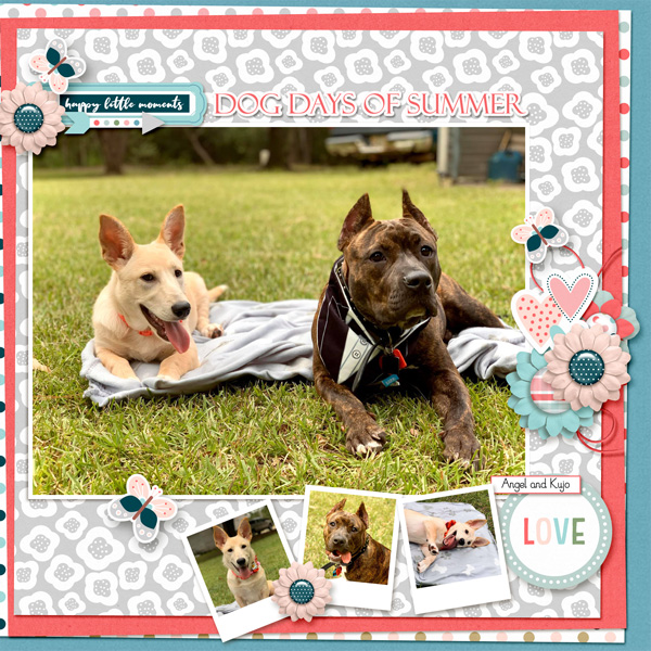 Dog-Days-of-Summer