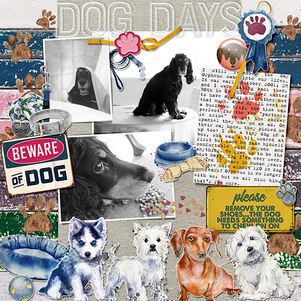 Dog days