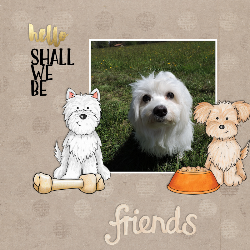 Dog Friend