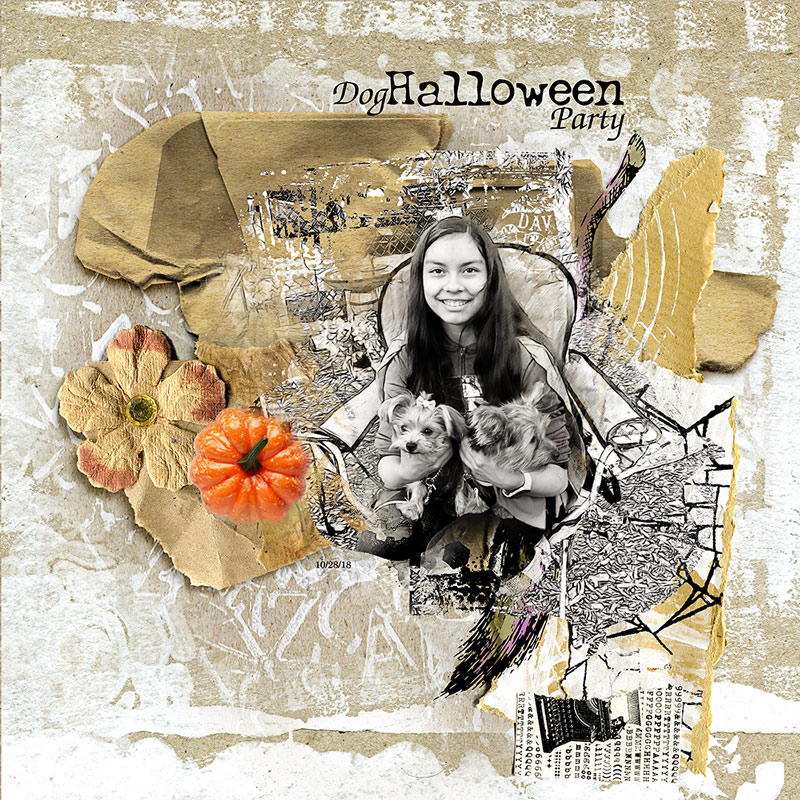 Dog Halloween