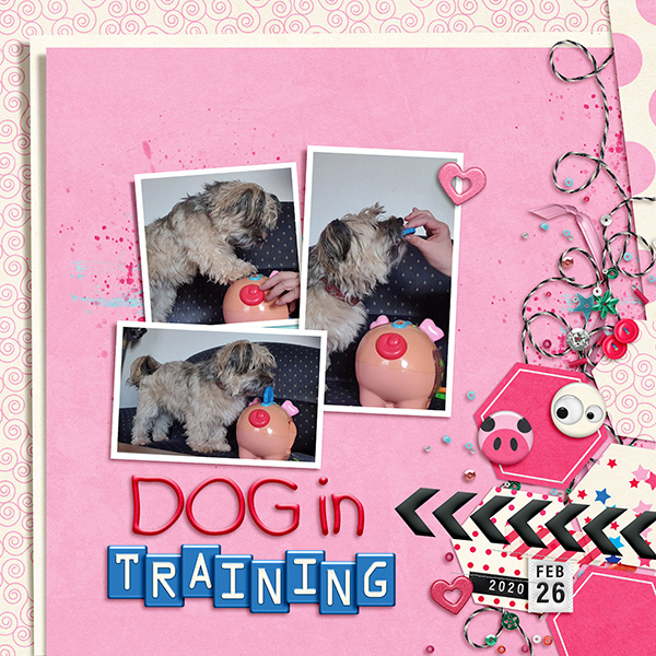 Dog In Training