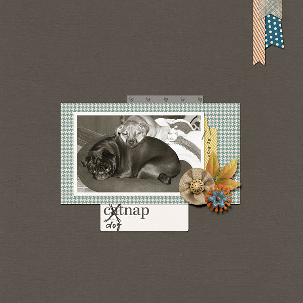 Dog-nap