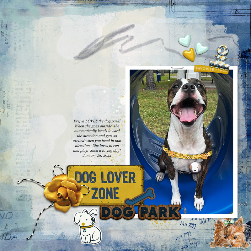 Dog Park