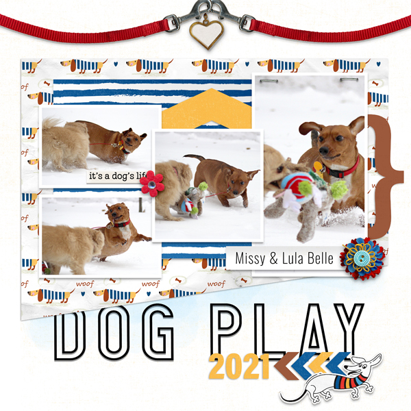 Dog Play