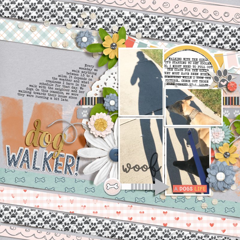 Dog Walker