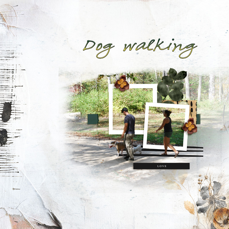 Dog Walking