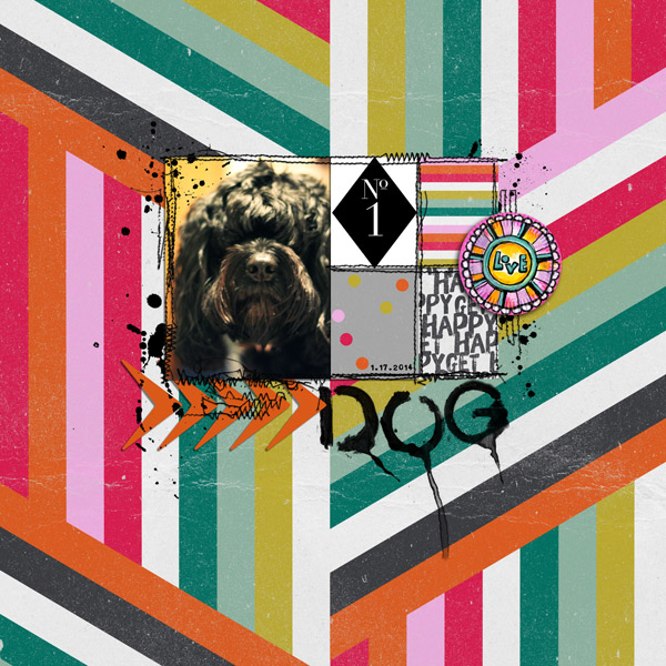 dog