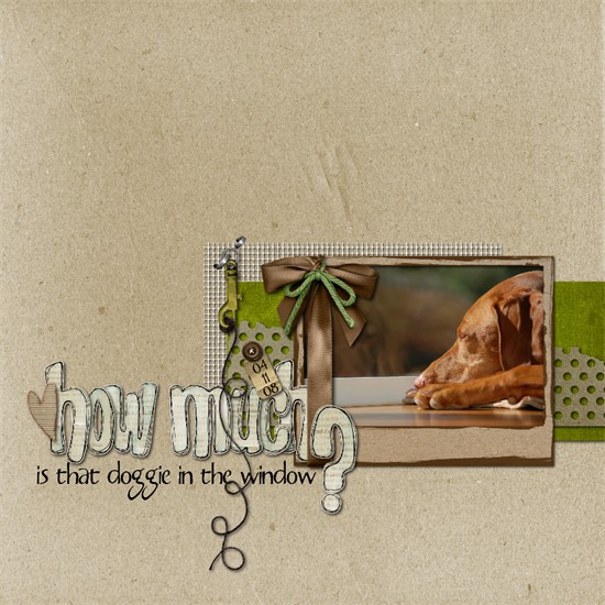doggie in the window