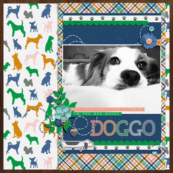 Doggo