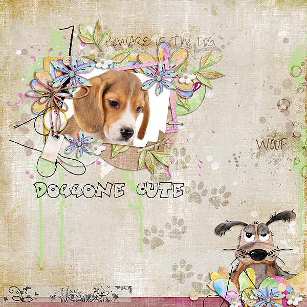 Doggone-Cute