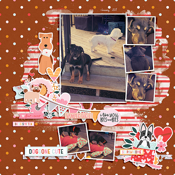 Doggone Cute