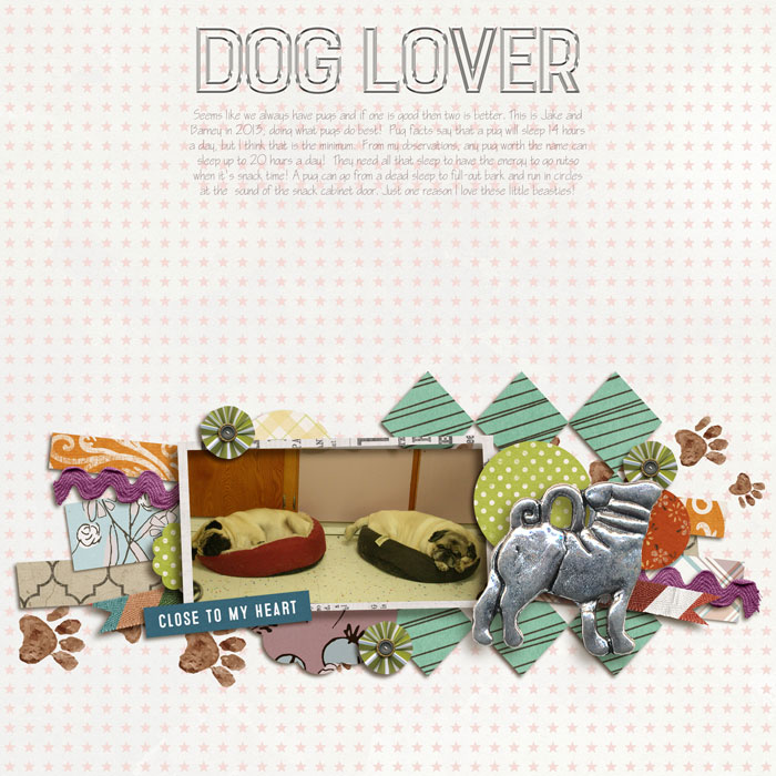 Doglover