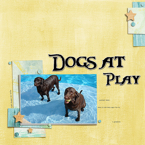 Dogs-at--PlaWeby