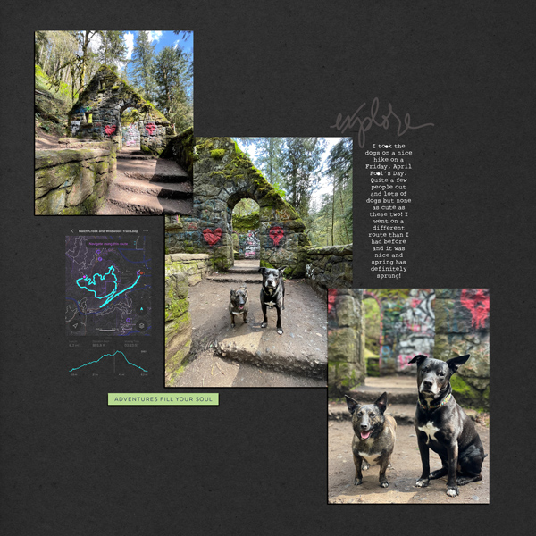 Dogs at the castle