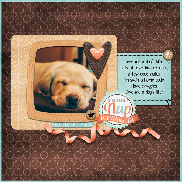 Dogs-life- week 1