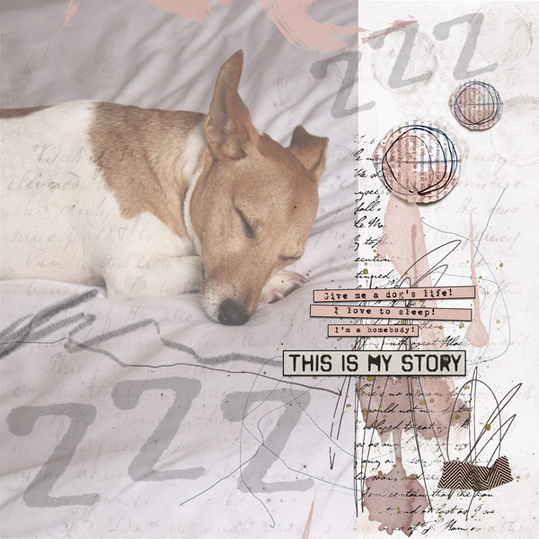 Dogs-life