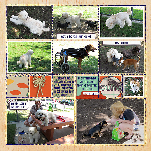 Dogs!Park