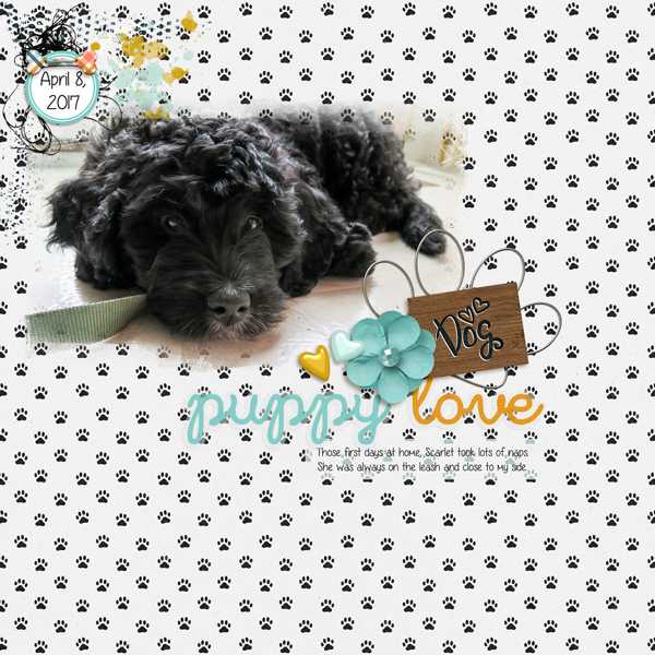 DogYear2017-front-cover