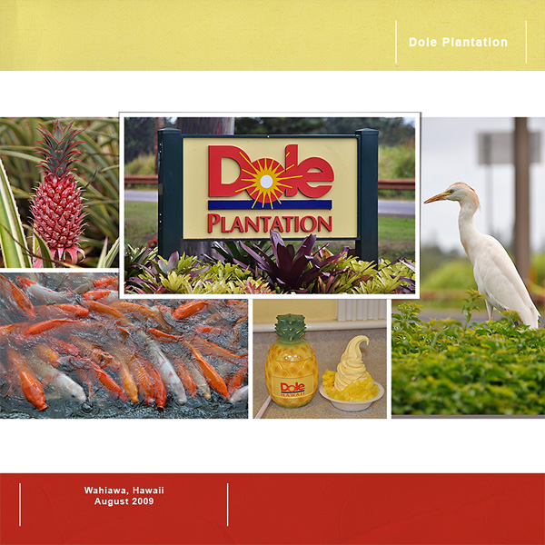 Dole Plantation