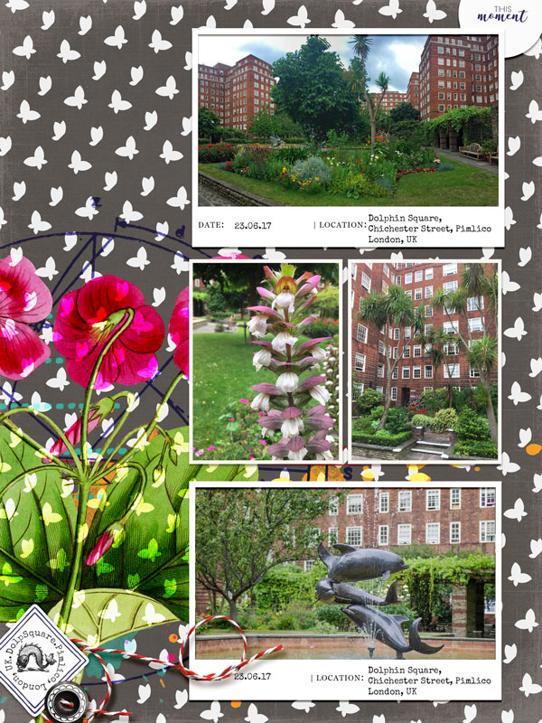 Dolphin Gardens