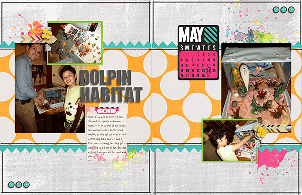 Dolphin-Habitat-web