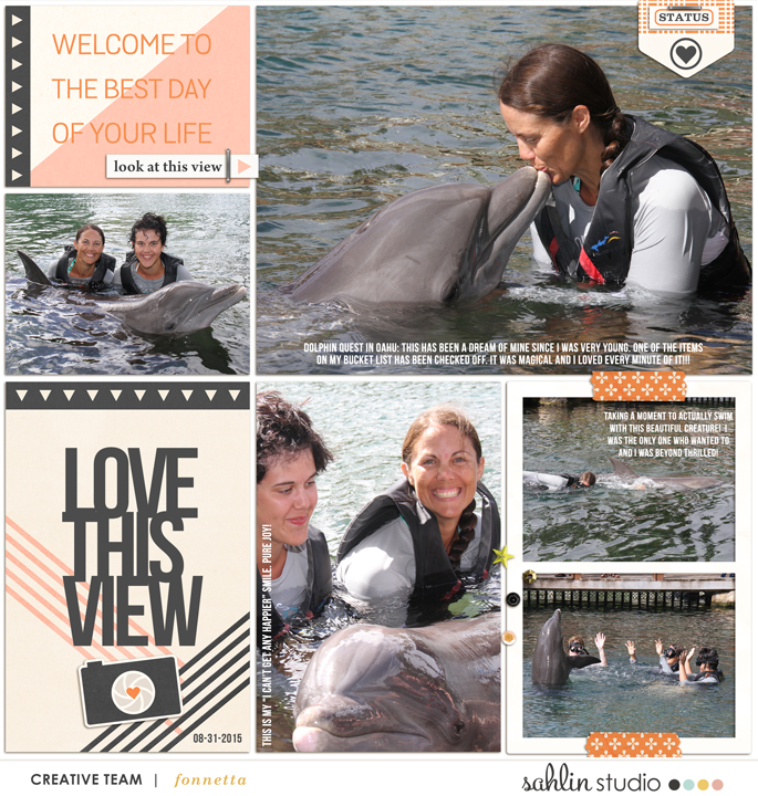 Dolphin-Quest1