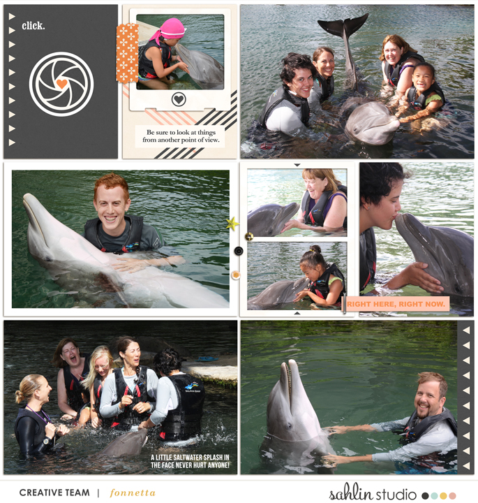 Dolphin-Quest2