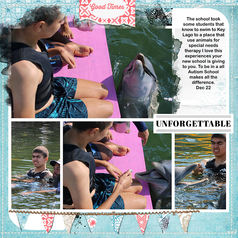 Dolphin Trip 1