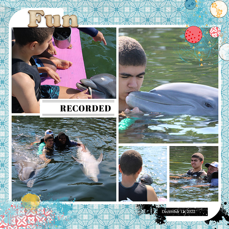 Dolphin Trip 2
