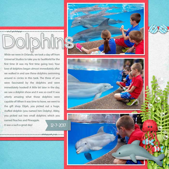 Dolphins (Slow Scrap 5/7/23)