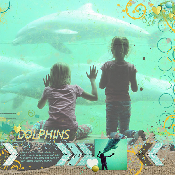 Dolphins