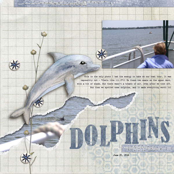 Dolphins