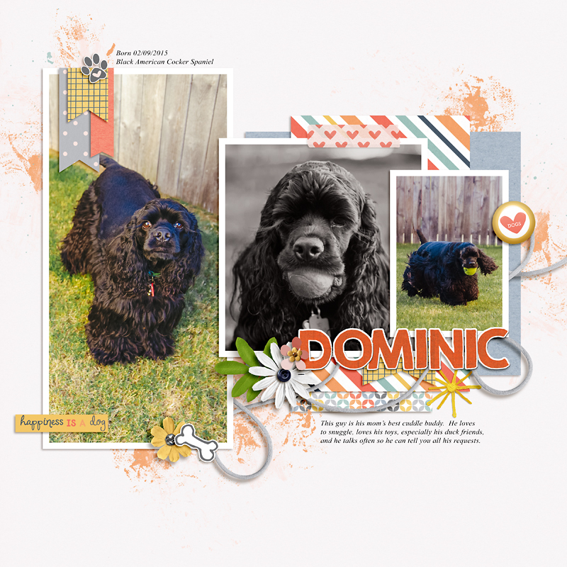 Dominic