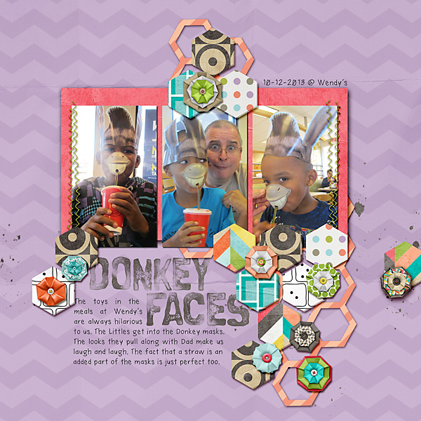 Donkey Faces