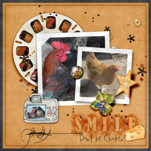 Don't be Chicken