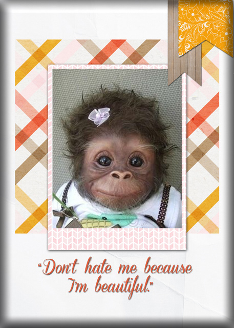 Don't-Hate-Me..